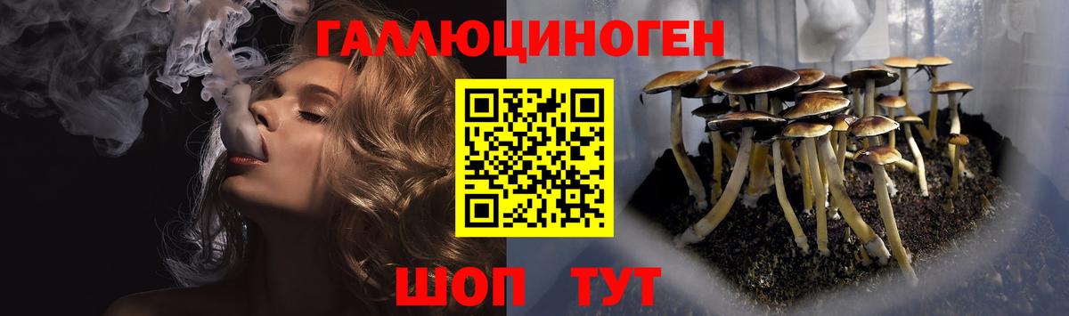 Галлюциногенные грибы мицелий Новотроицк